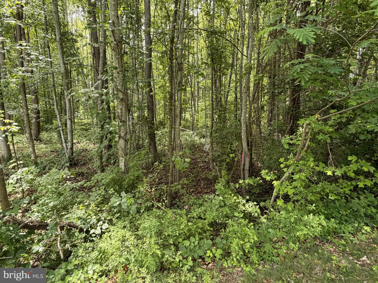 -LOT 14 OVERTON DR