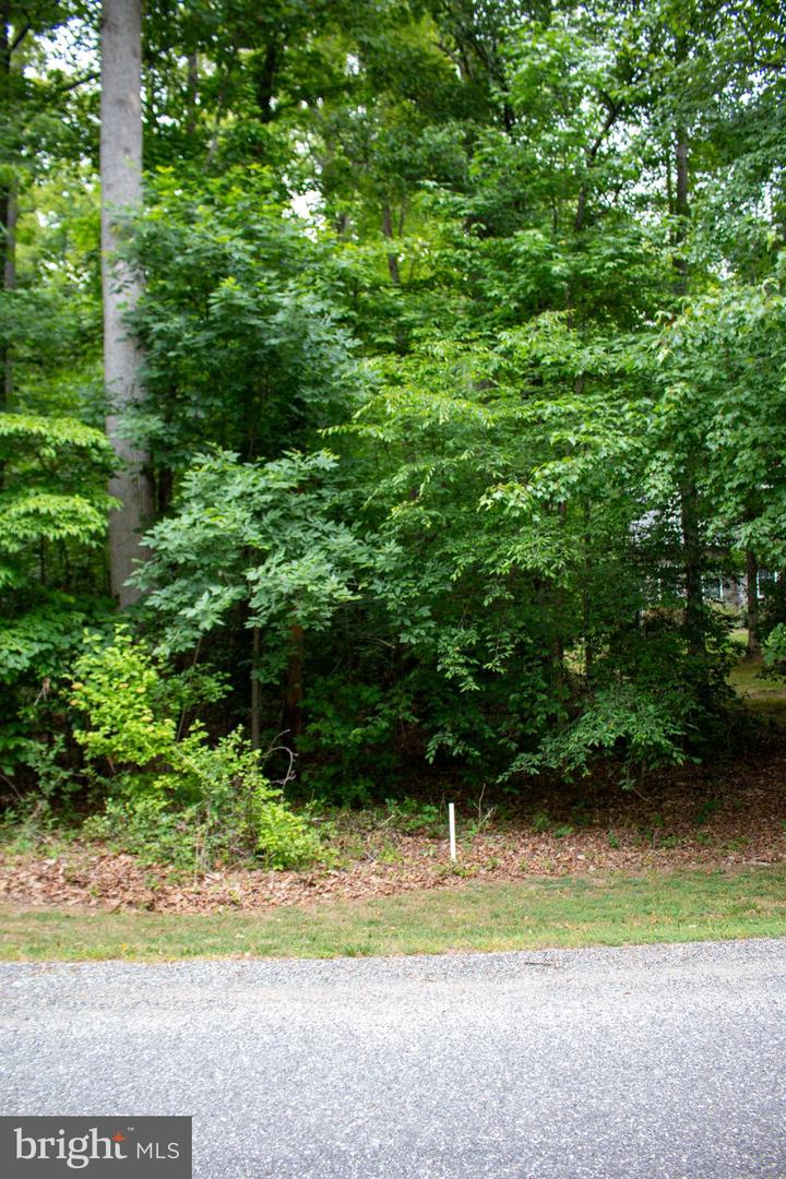 5 Oak Haven Dr Property Photo 5