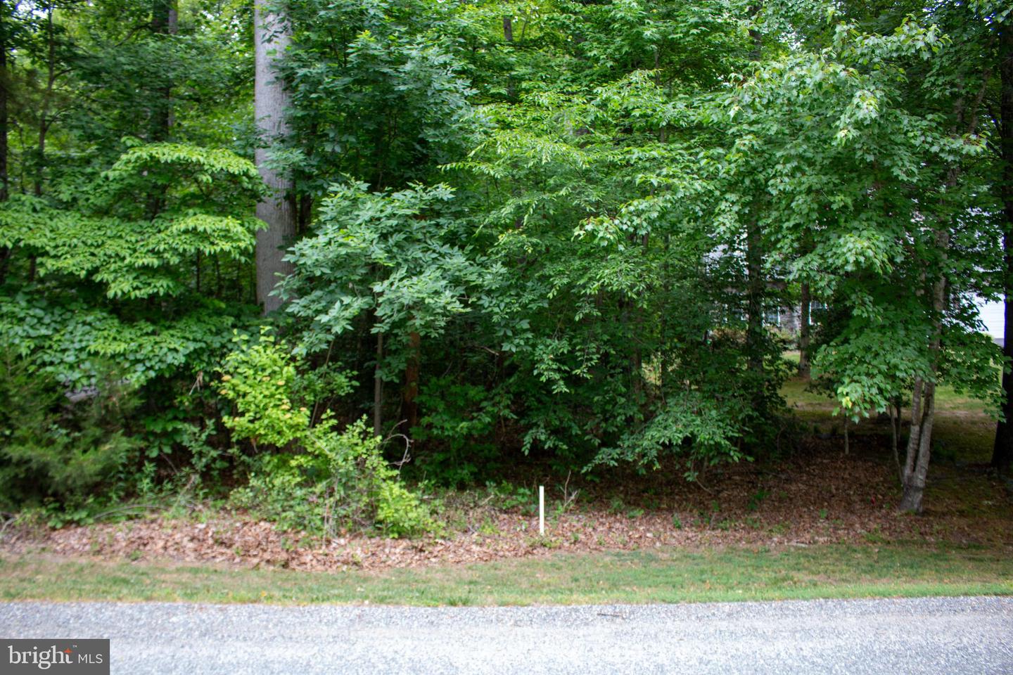 5 Oak Haven Dr Property Photo 6