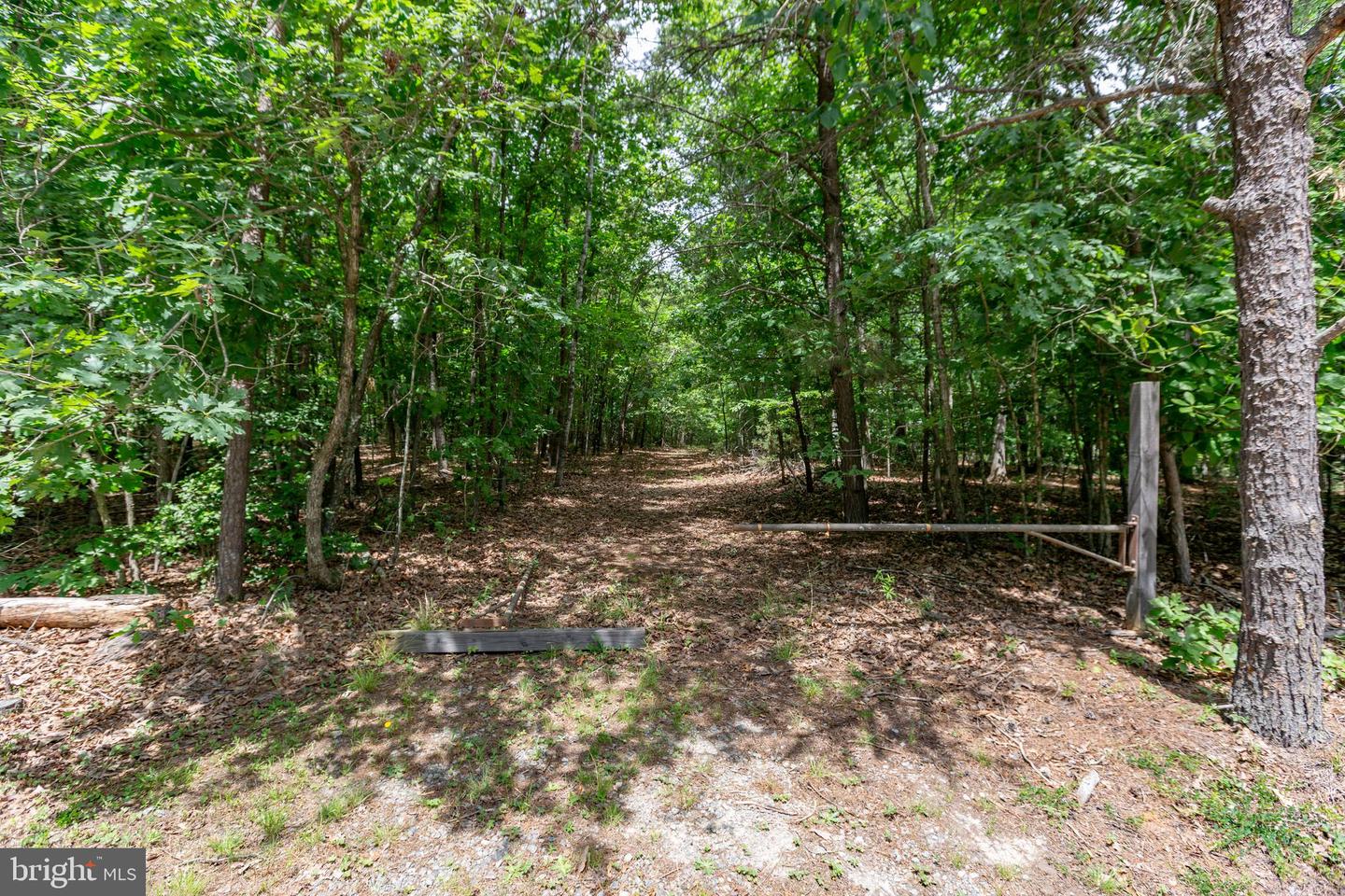 Old Mill Rd Property Photo 4