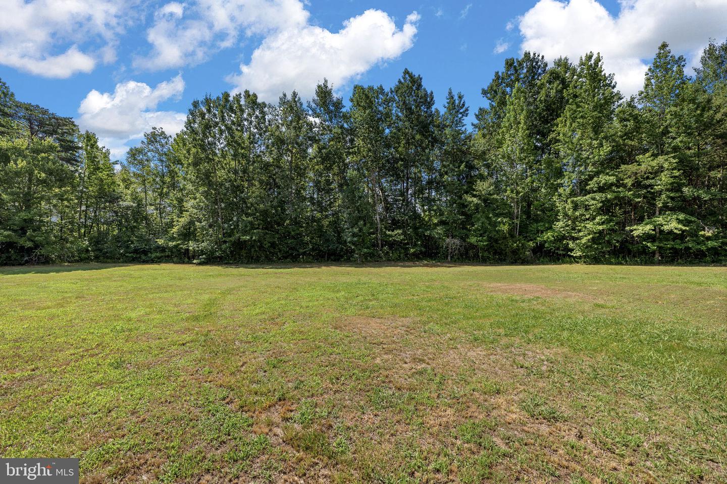 524 Blueberry Ln Property Photo 14