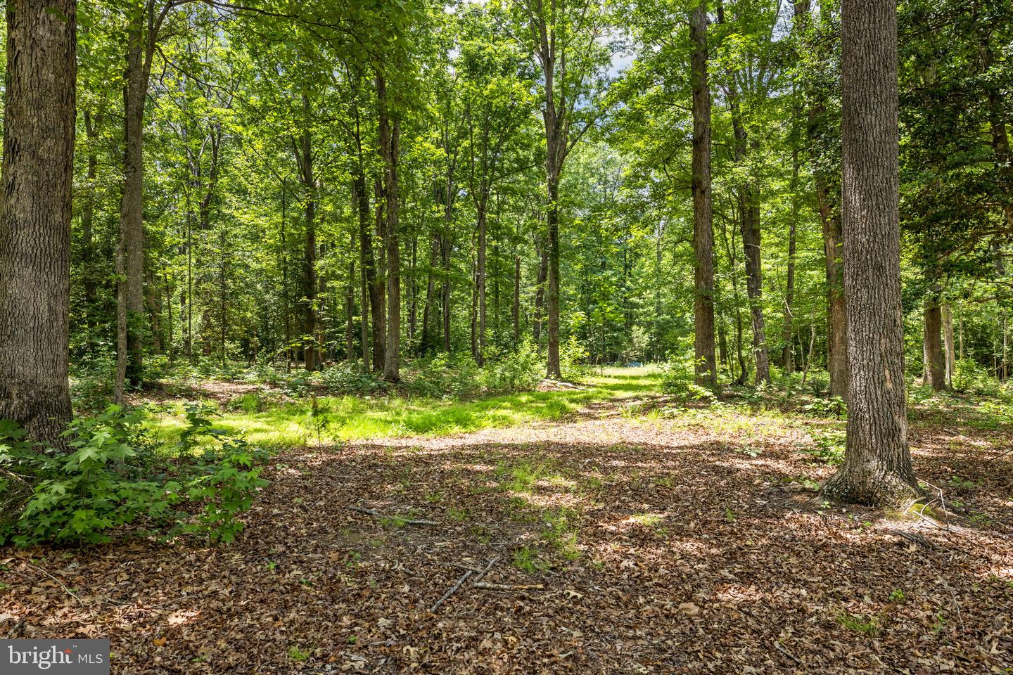 1271 Apple Grove Rd Property Photo 65