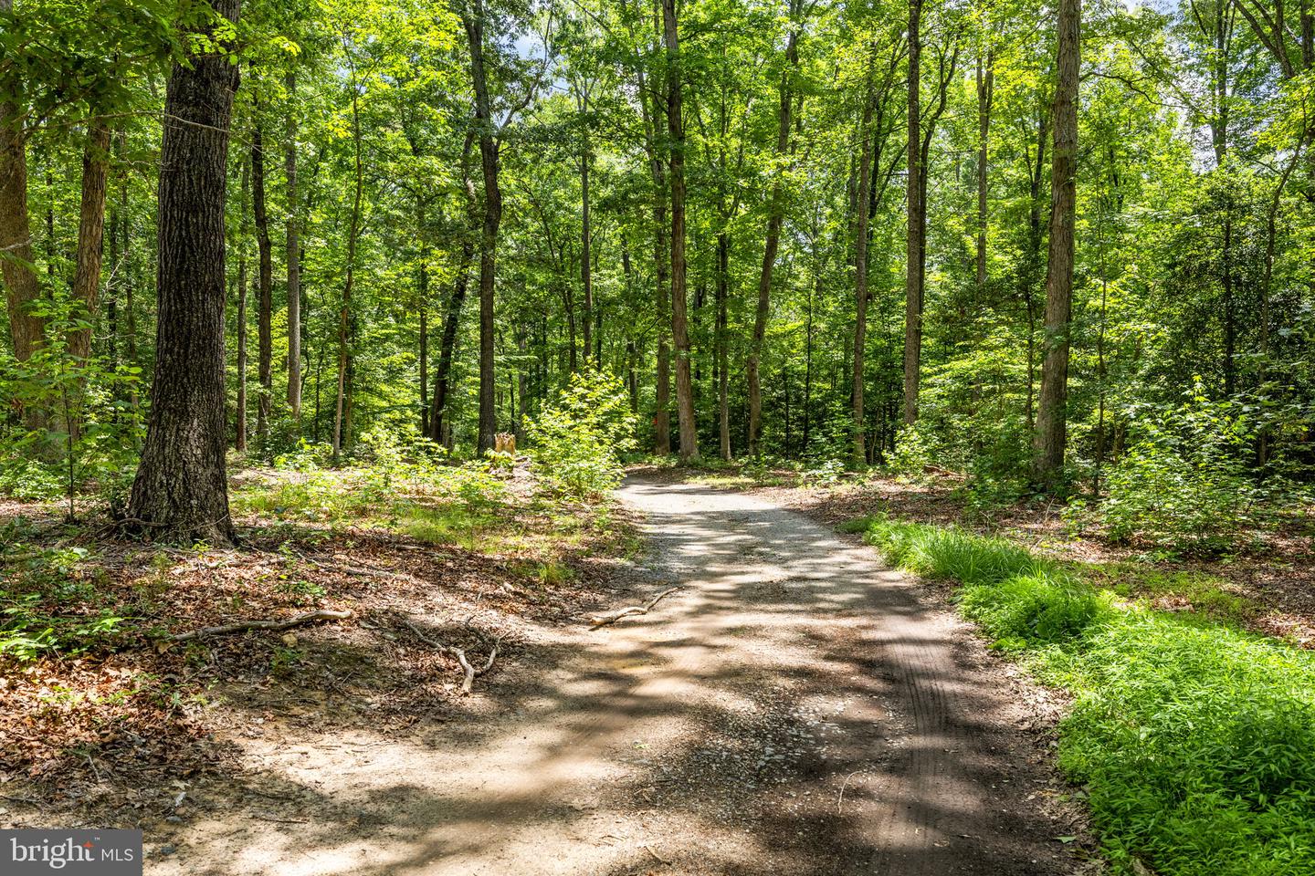 1271 Apple Grove Rd Property Photo 66