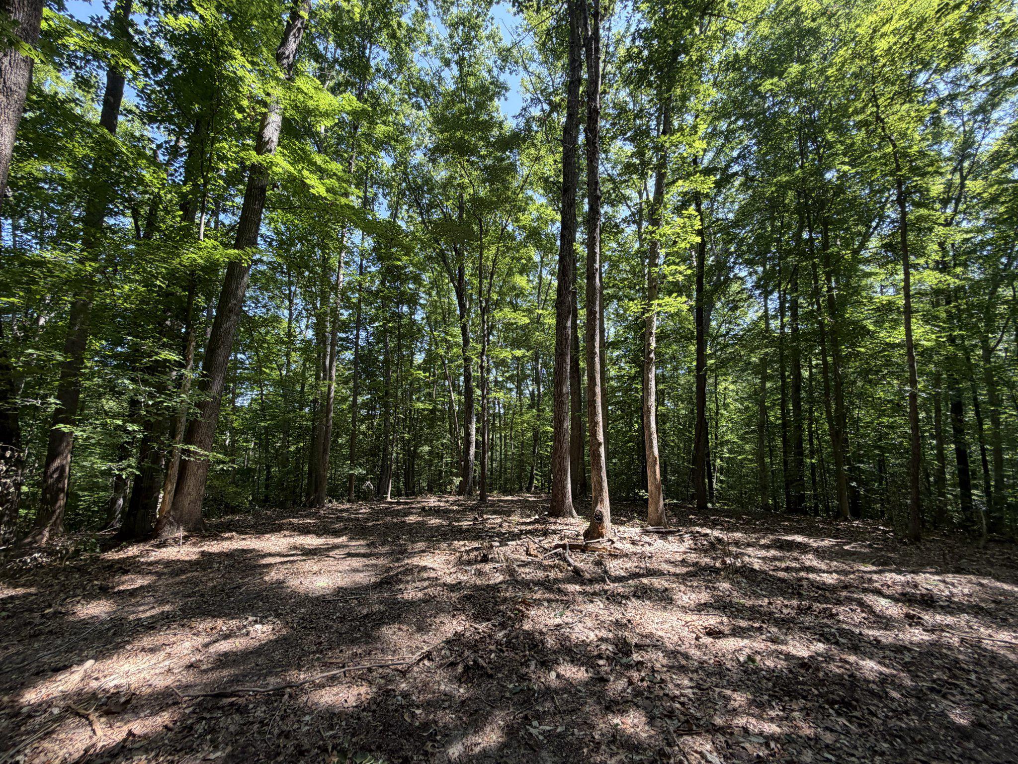 Lot 4a Parrish Rd Property Photo 1