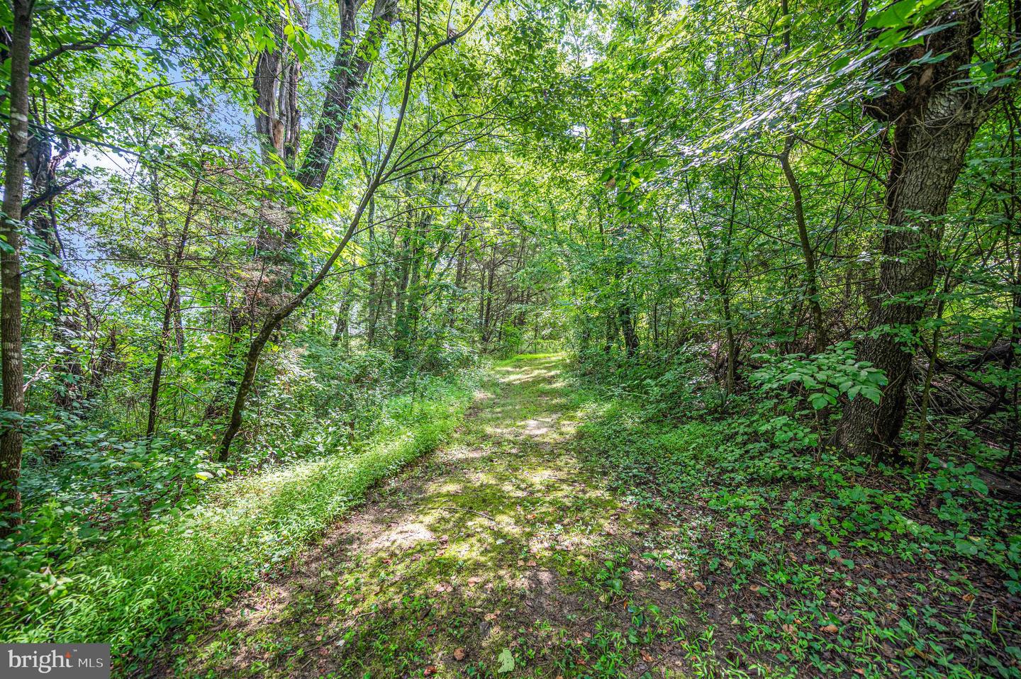Troy Rd. Property Photo 11