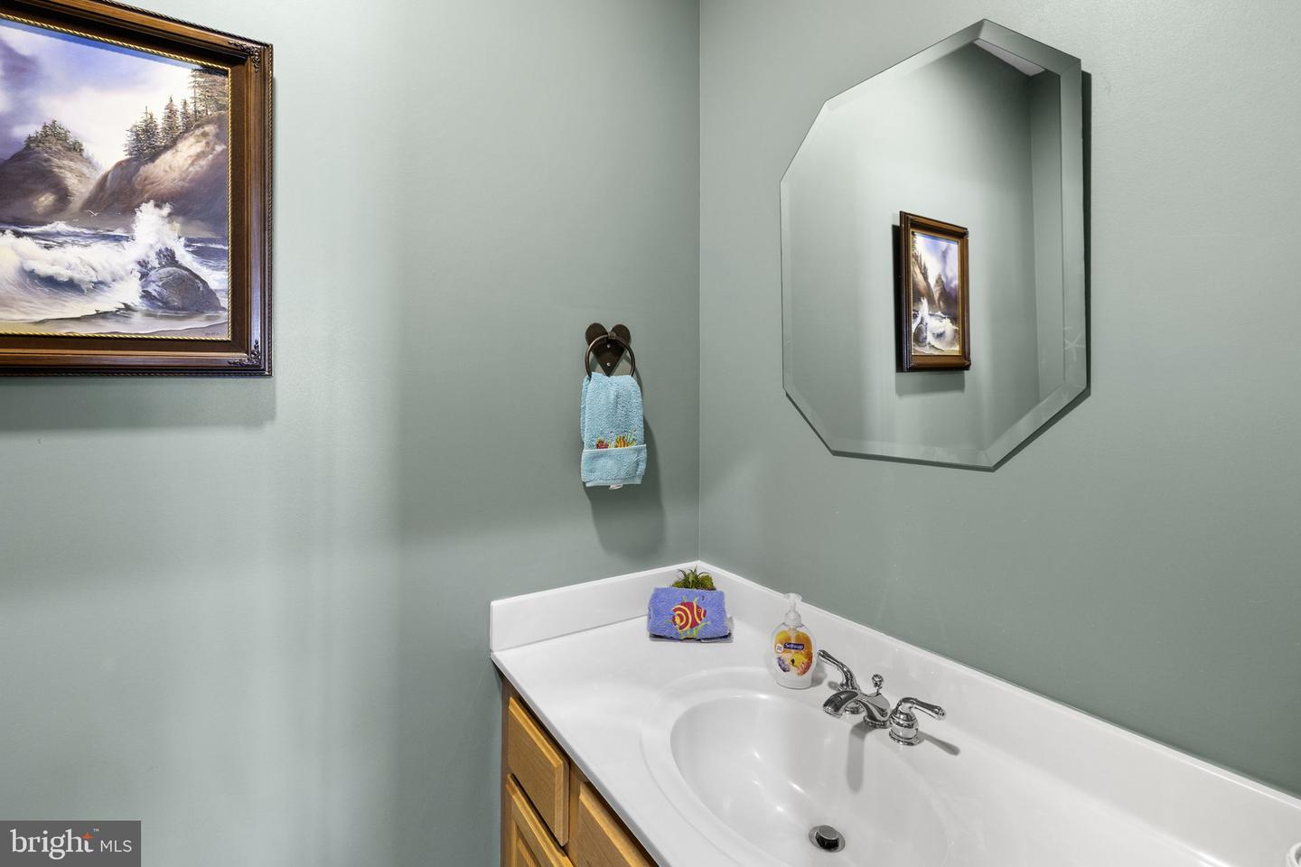 214 Scotch Pine Dr Property Photo 32