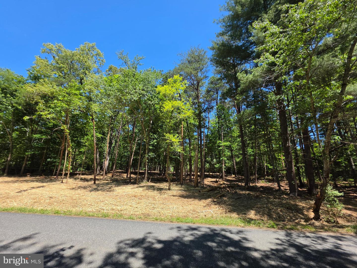Lot B Campbell Rd Property Photo 3