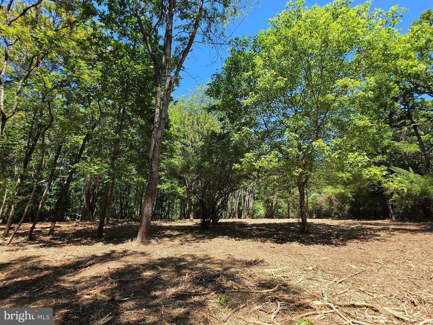 Lot B Campbell Rd Property Photo 5