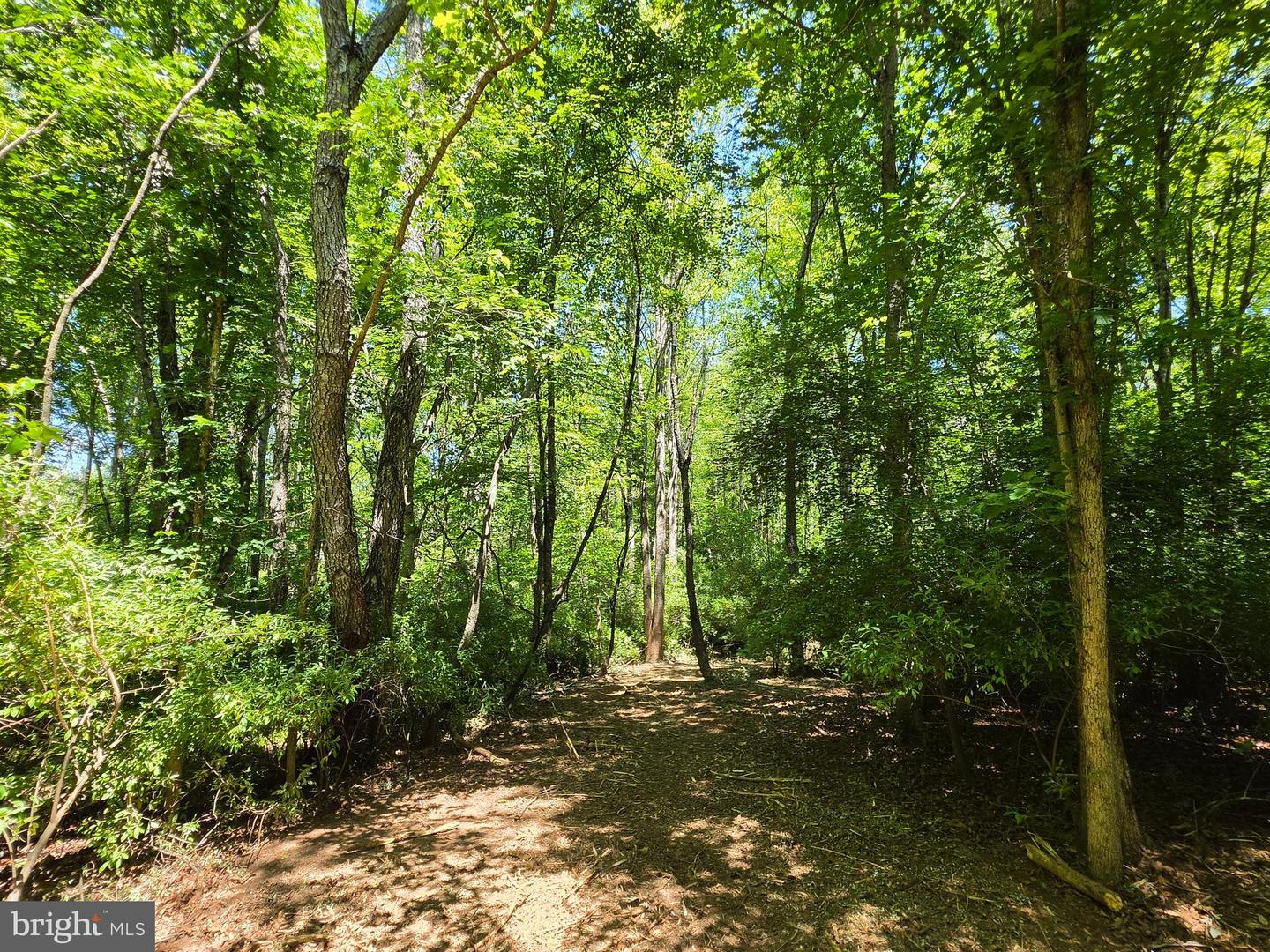 Lot B Campbell Rd Property Photo 6