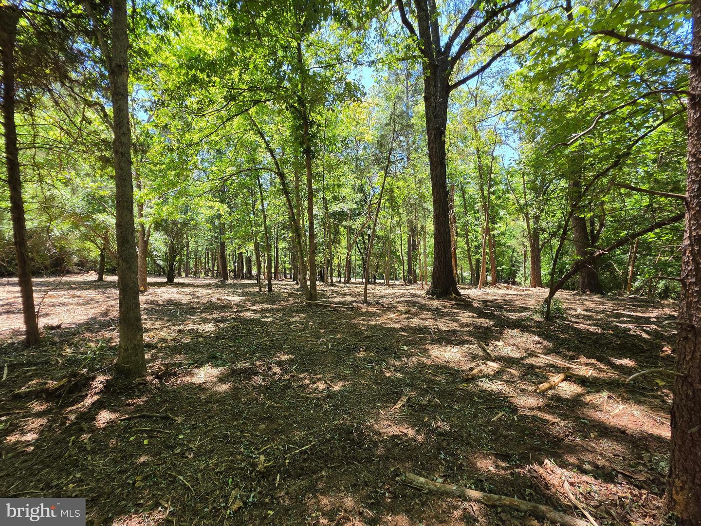 Lot B Campbell Rd Property Photo 7