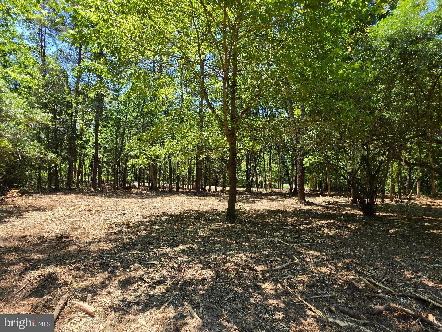 Lot B Campbell Rd Property Photo 8