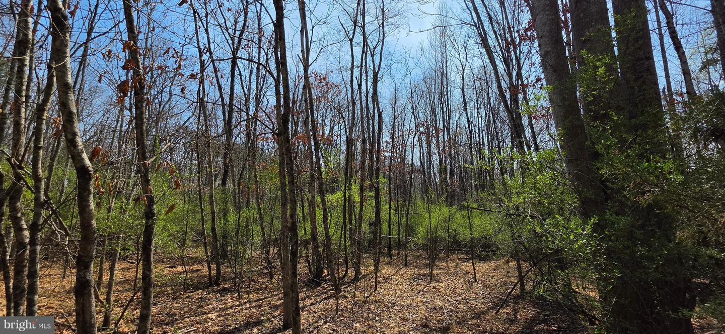 Lot B Campbell Rd Property Photo 9