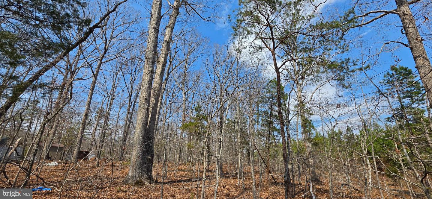 Lot B Campbell Rd Property Photo 10