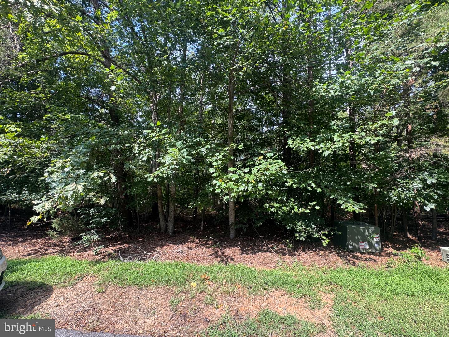 318 Bay Hill Rd Property Photo 18