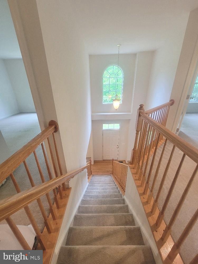 440 Reedy Creek Rd Property Photo 2