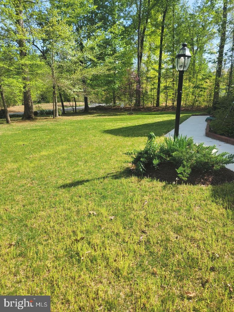 440 Reedy Creek Rd Property Photo 21
