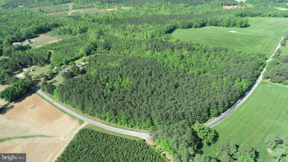 Tbd Craig Mill Rd Property Photo 2