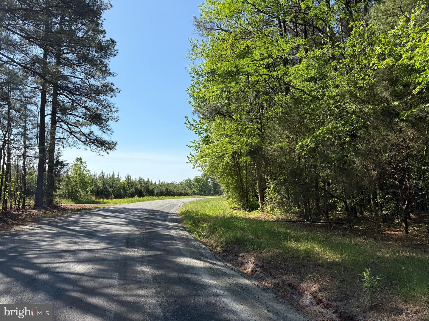 Tbd Craig Mill Rd Property Photo 3