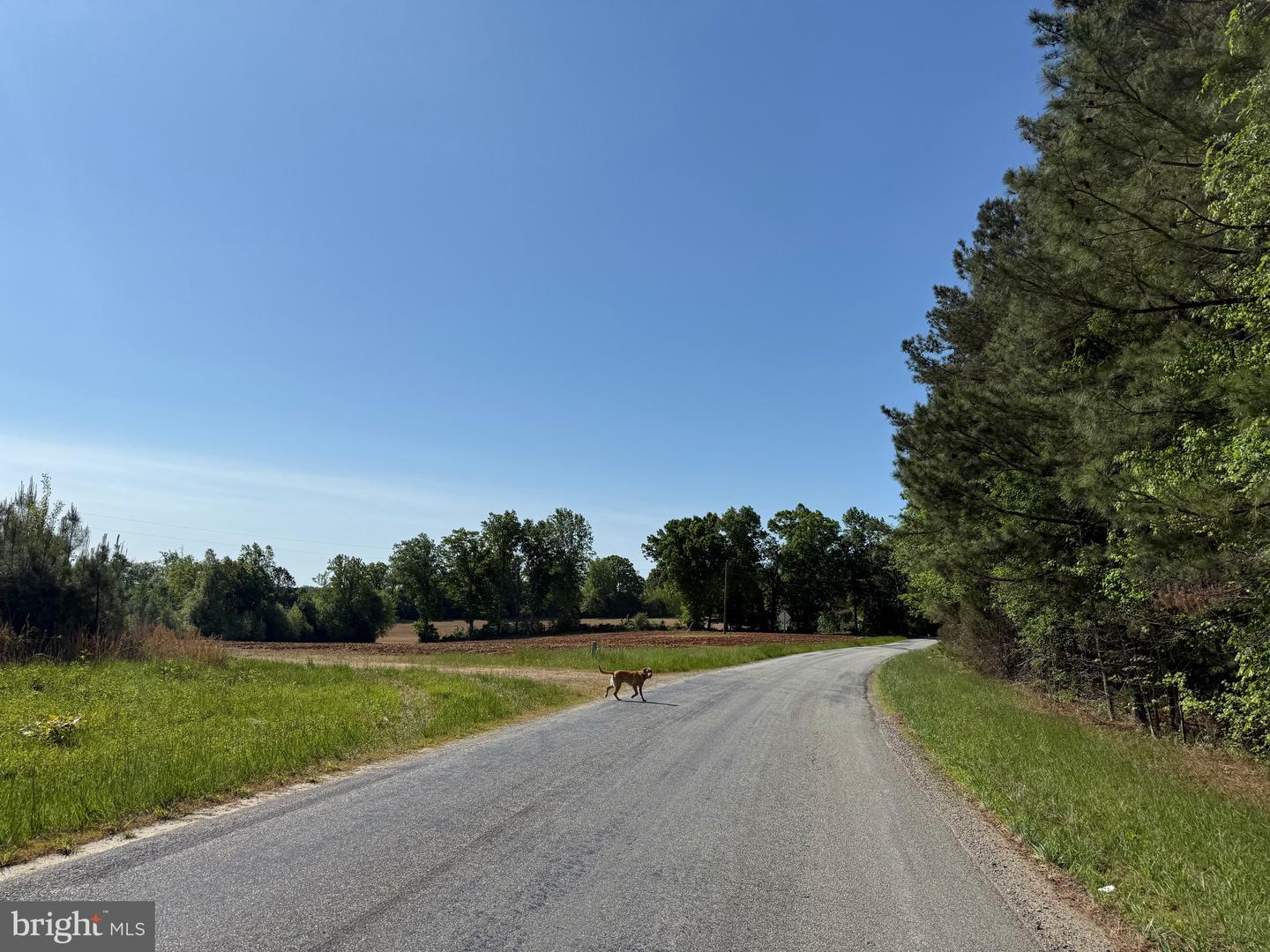 Tbd Craig Mill Rd Property Photo 9