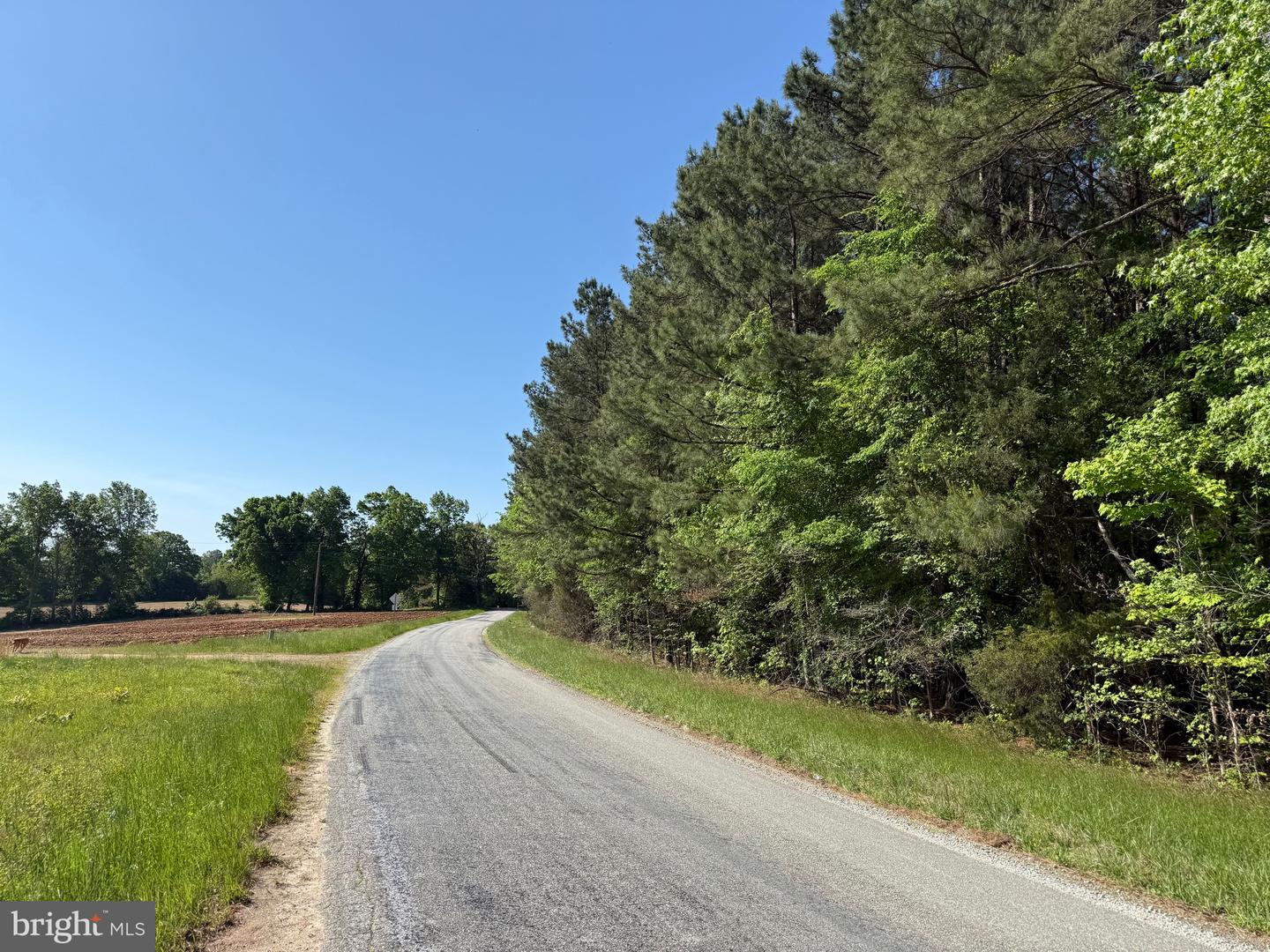 Tbd Craig Mill Rd Property Photo 10