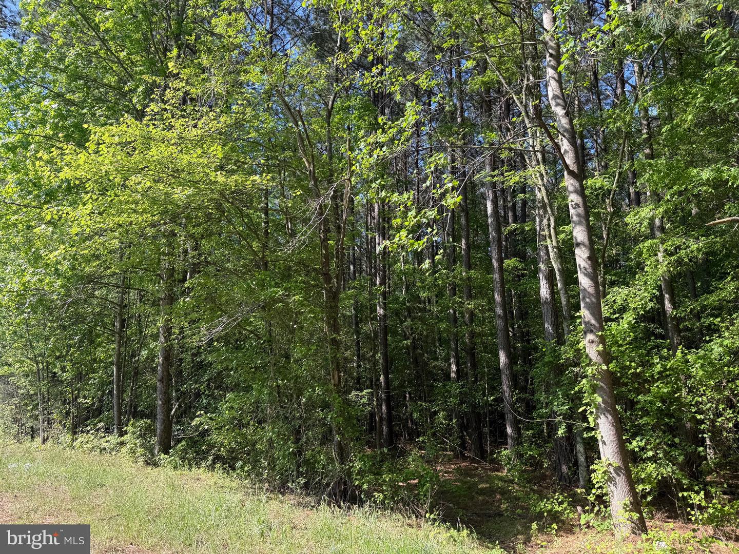 Tbd Craig Mill Rd Property Photo 27