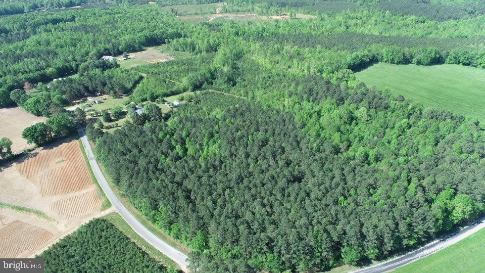 Tbd Craig Mill Rd Property Photo 29