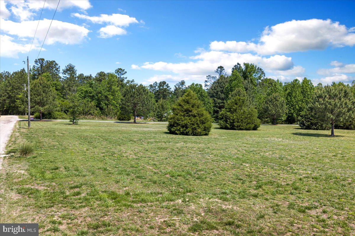 523 Three Flags Dr Property Photo 3