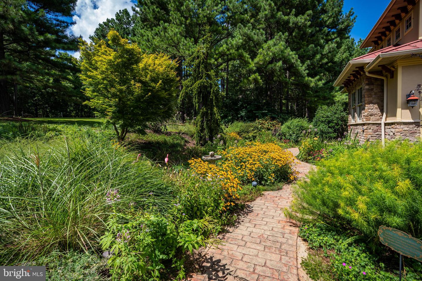 38780 Chelten Ln Property Photo 7