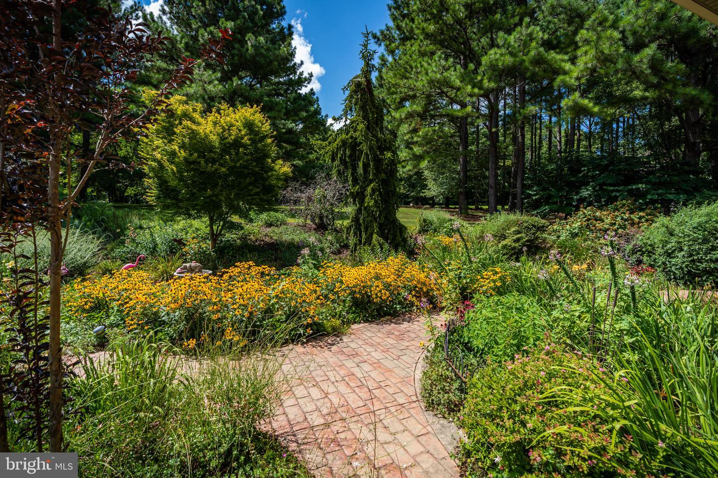 38780 Chelten Ln Property Photo 8