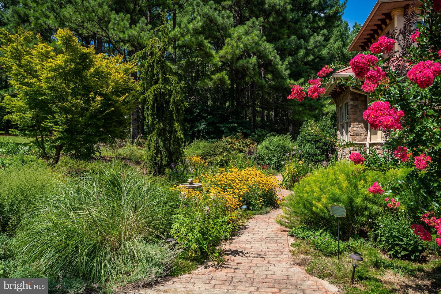 38780 Chelten Ln Property Photo 10