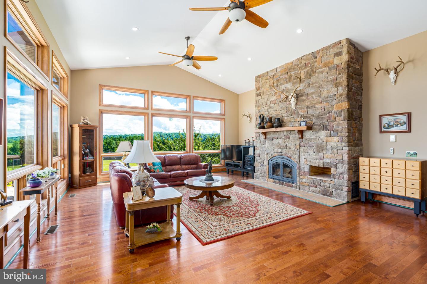 38780 Chelten Ln Property Photo 19