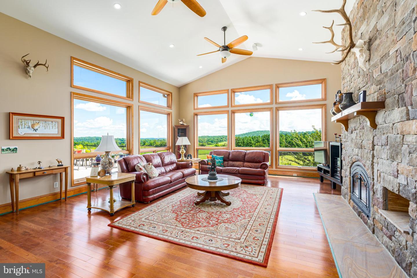 38780 Chelten Ln Property Photo 20