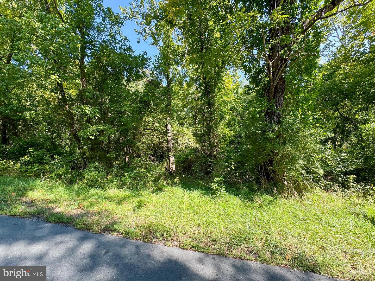 Lime Kiln Rd Property Photo 5