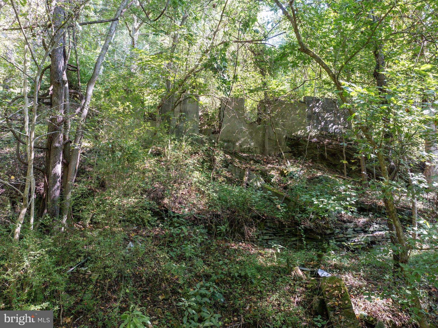 Lime Kiln Rd Property Photo 6