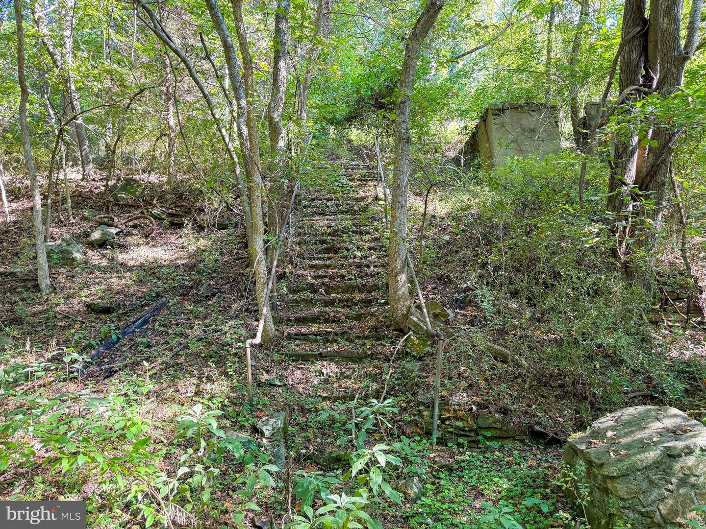 Lime Kiln Rd Property Photo 12