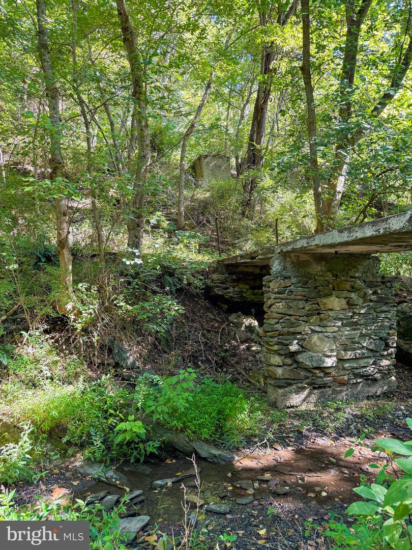 Lime Kiln Rd Property Photo 14