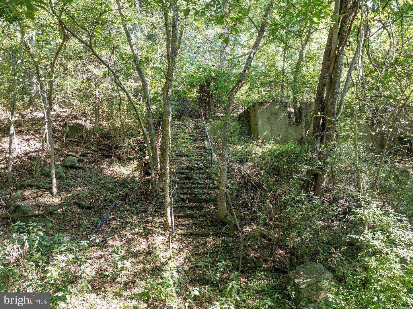 Lime Kiln Rd Property Photo 15