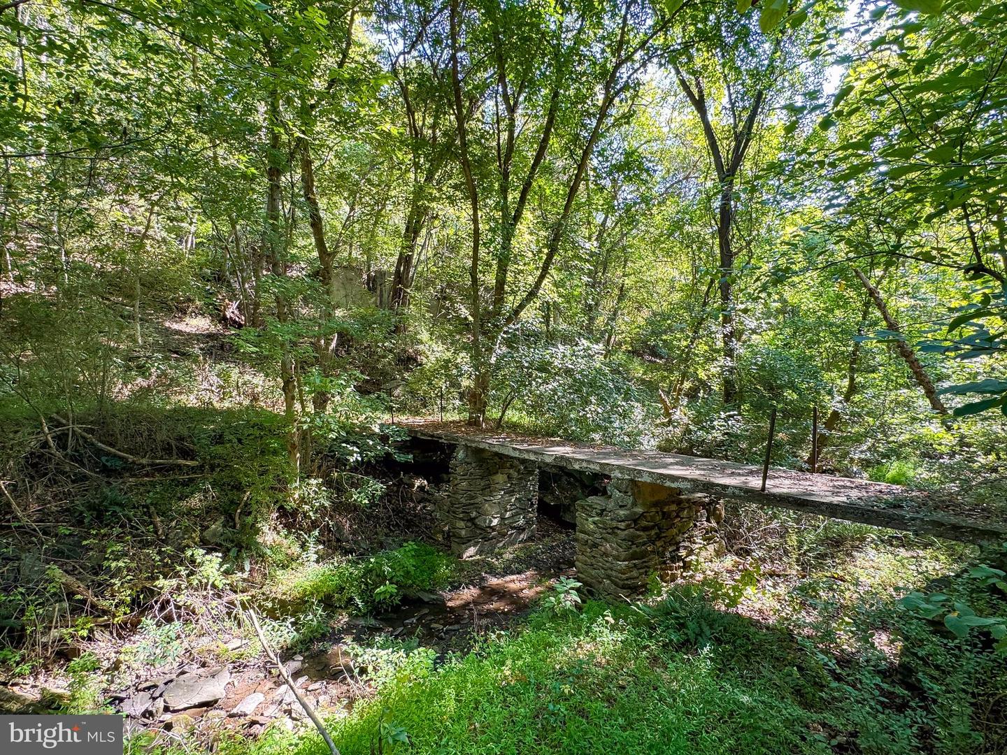 Lime Kiln Rd Property Photo 17