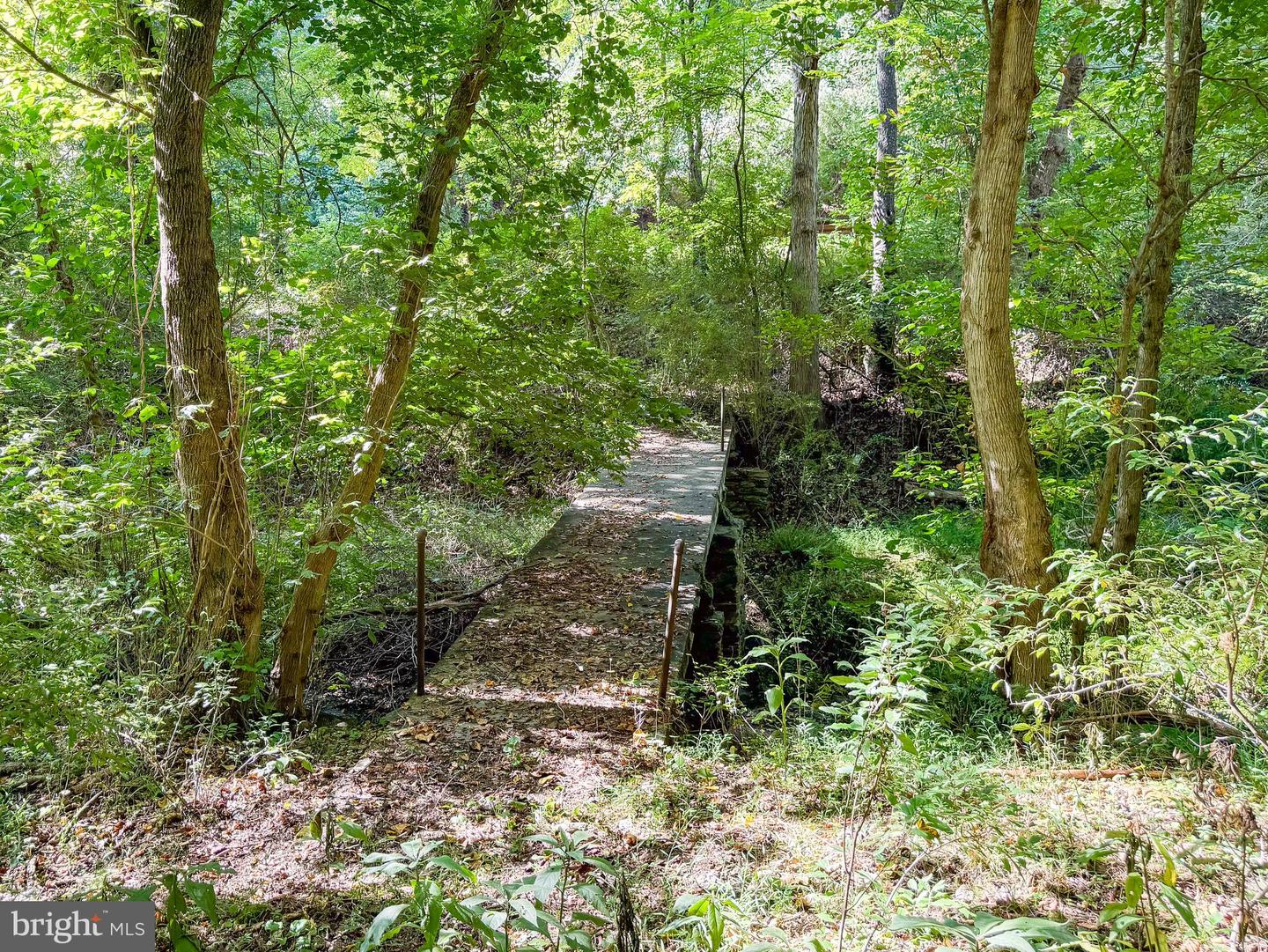 Lime Kiln Rd Property Photo 18