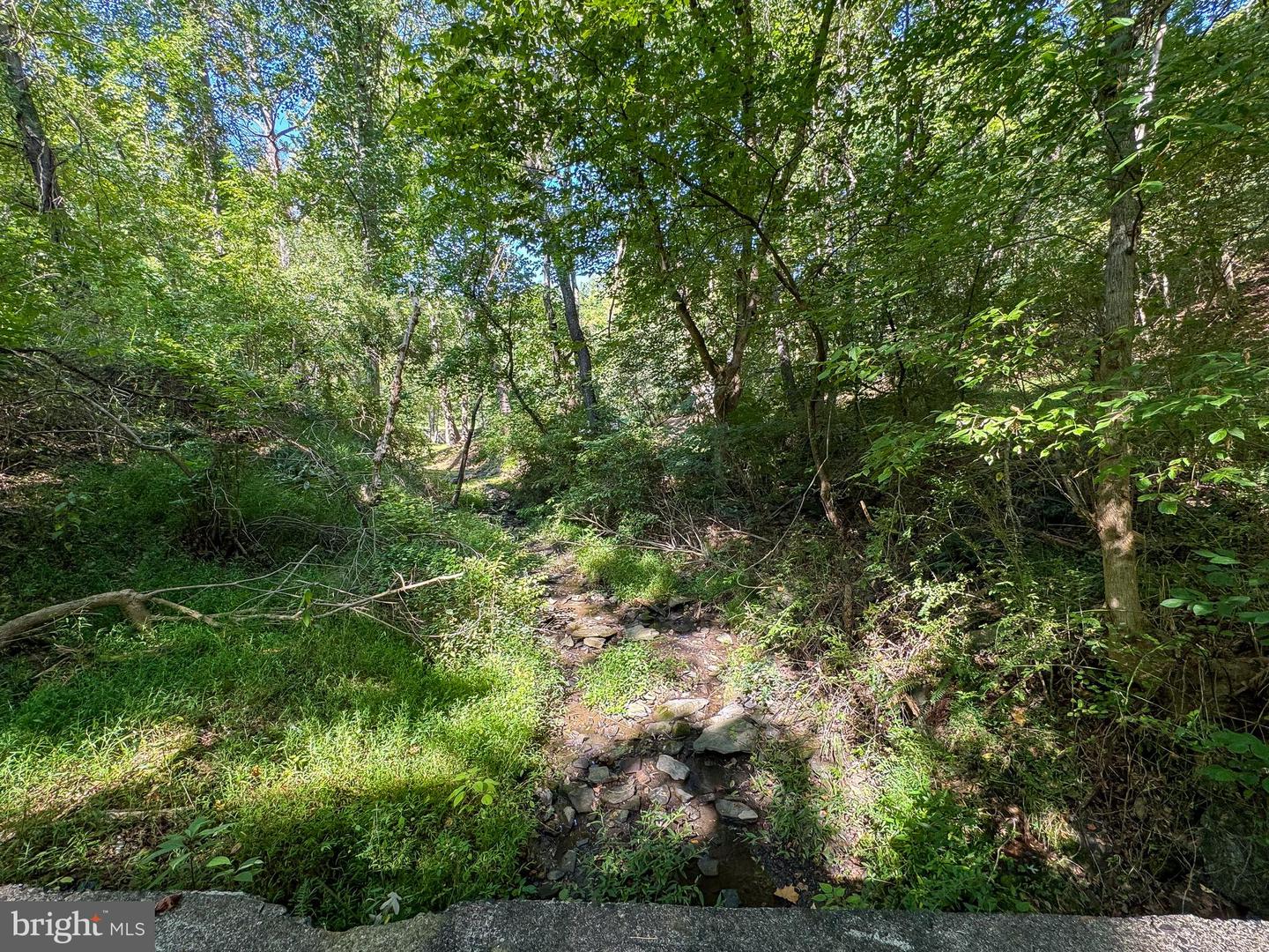 Lime Kiln Rd Property Photo 21