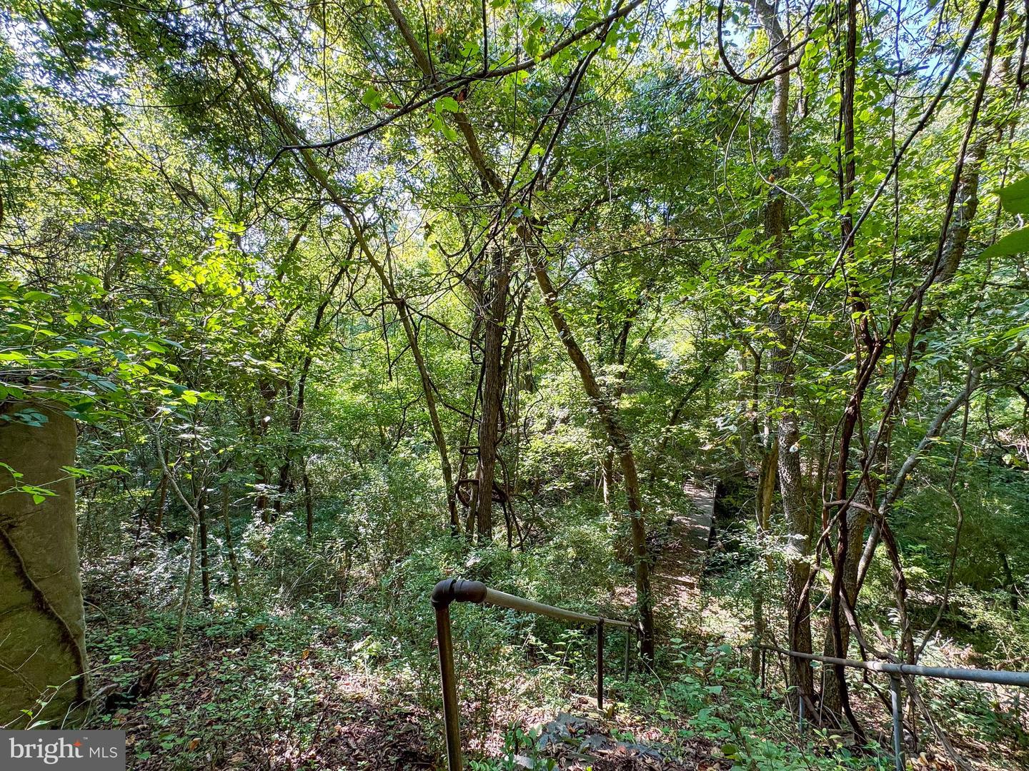 Lime Kiln Rd Property Photo 22