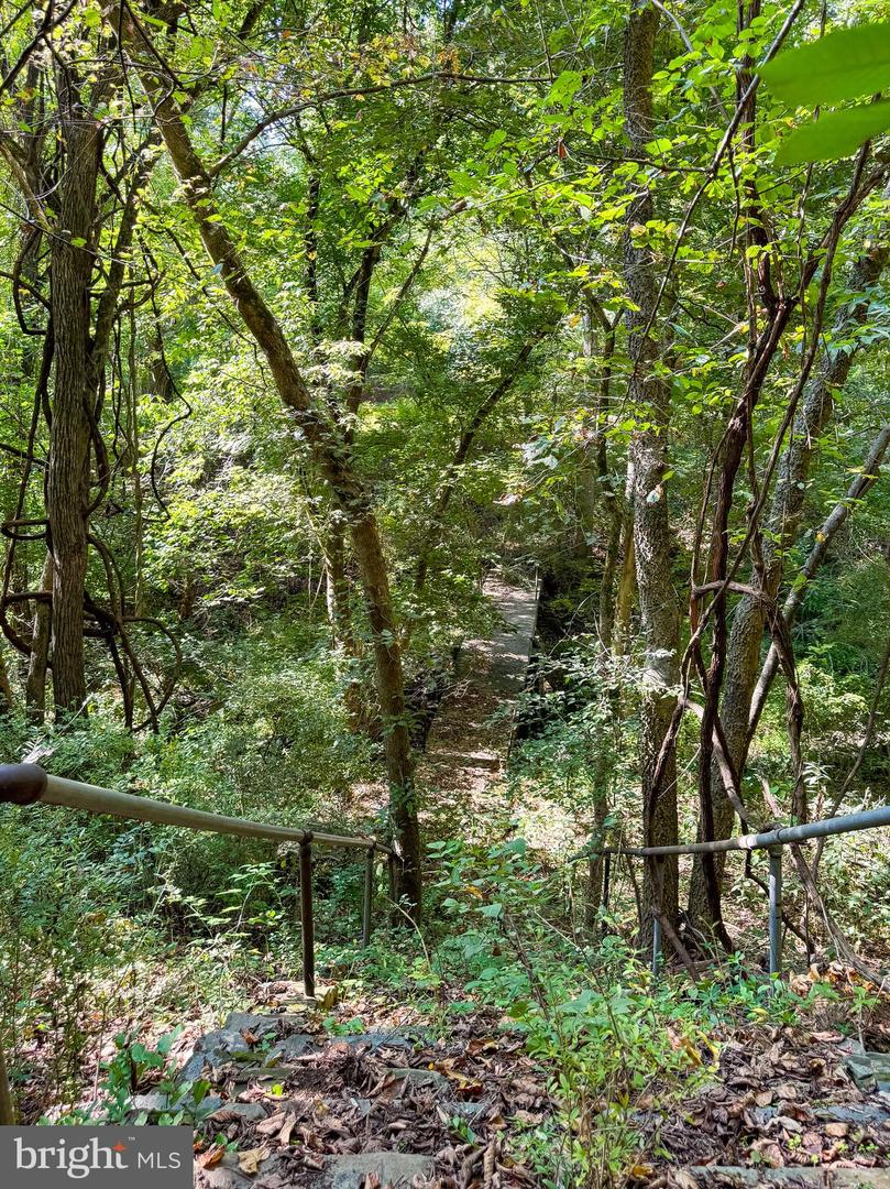 Lime Kiln Rd Property Photo 23