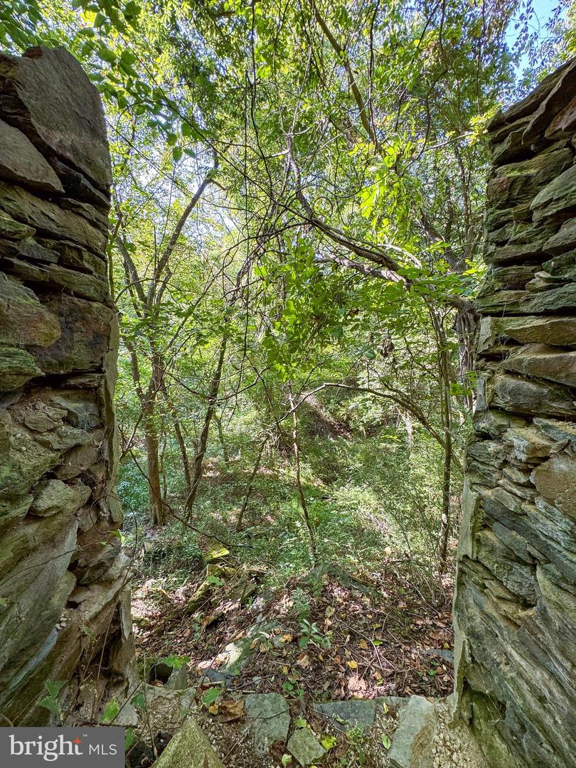 Lime Kiln Rd Property Photo 24