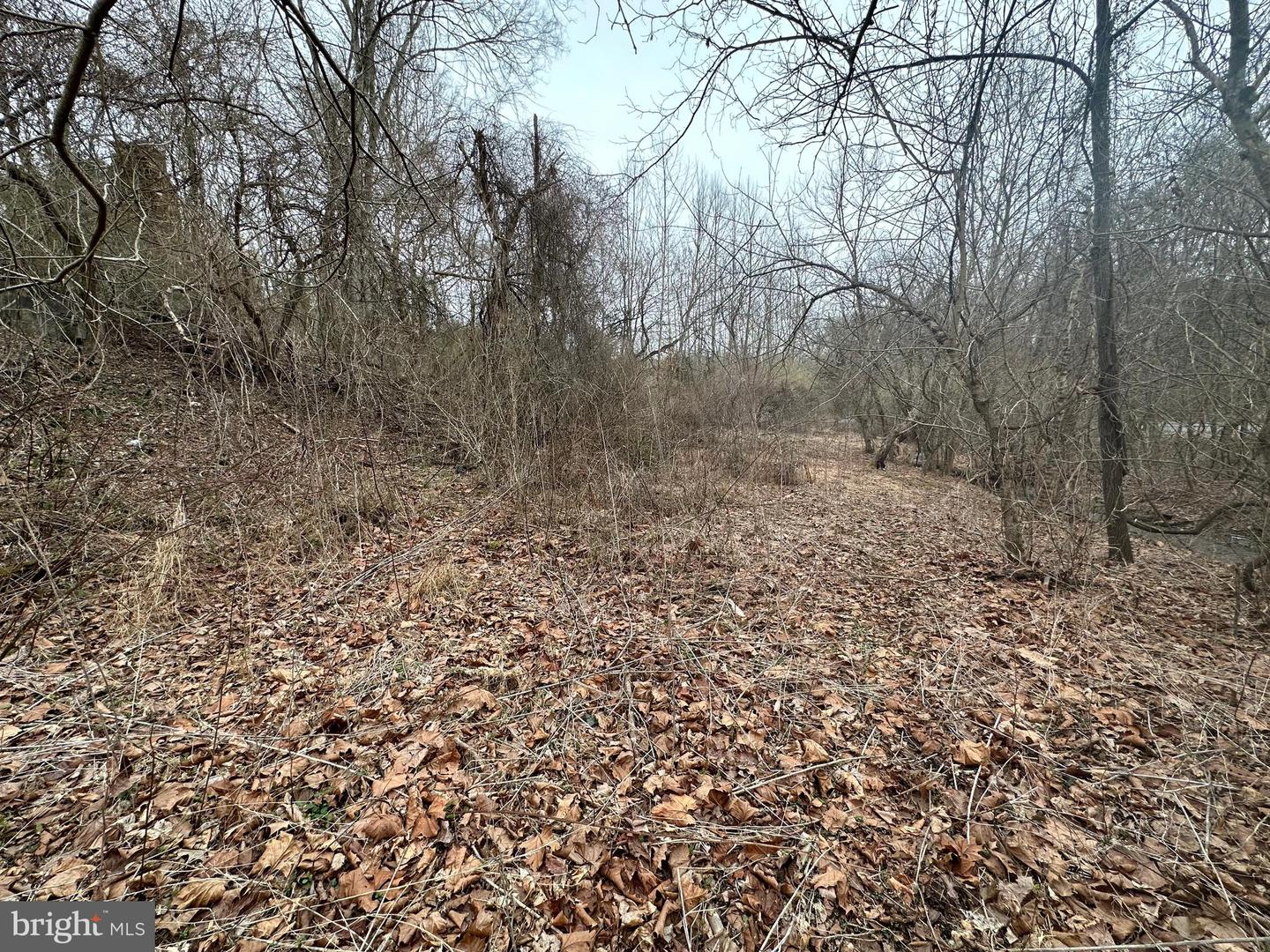 Lime Kiln Rd Property Photo 28