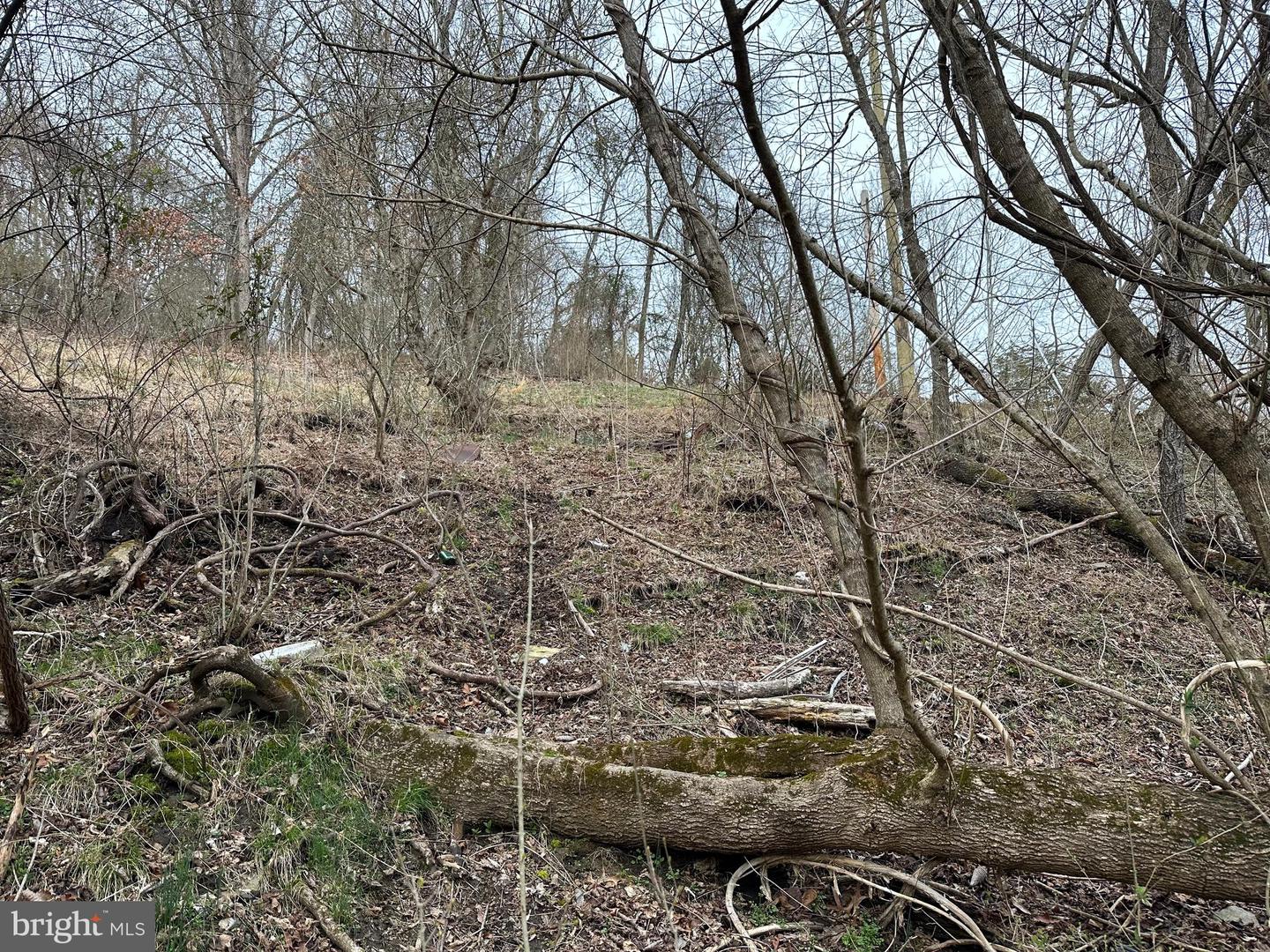 Lime Kiln Rd Property Photo 29