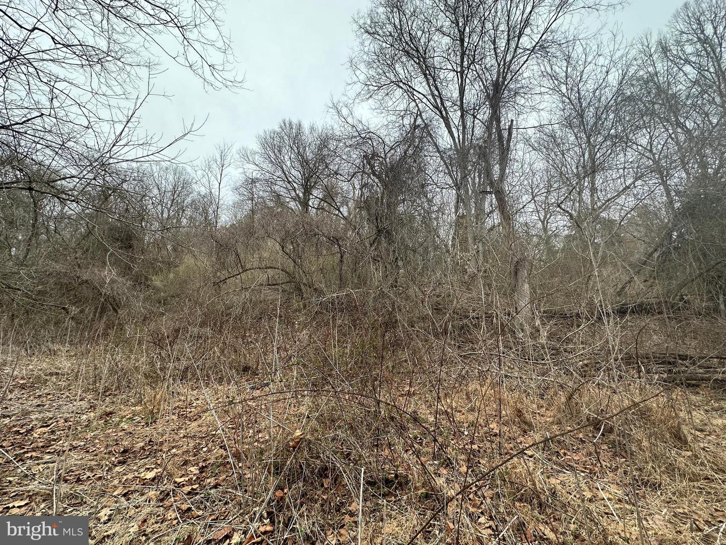 Lime Kiln Rd Property Photo 32