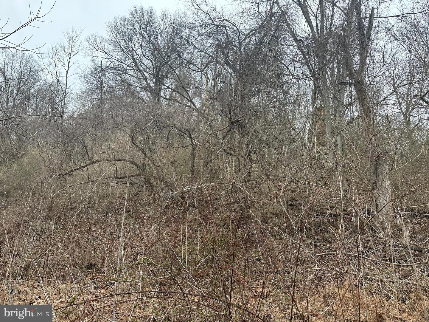 Lime Kiln Rd Property Photo 33