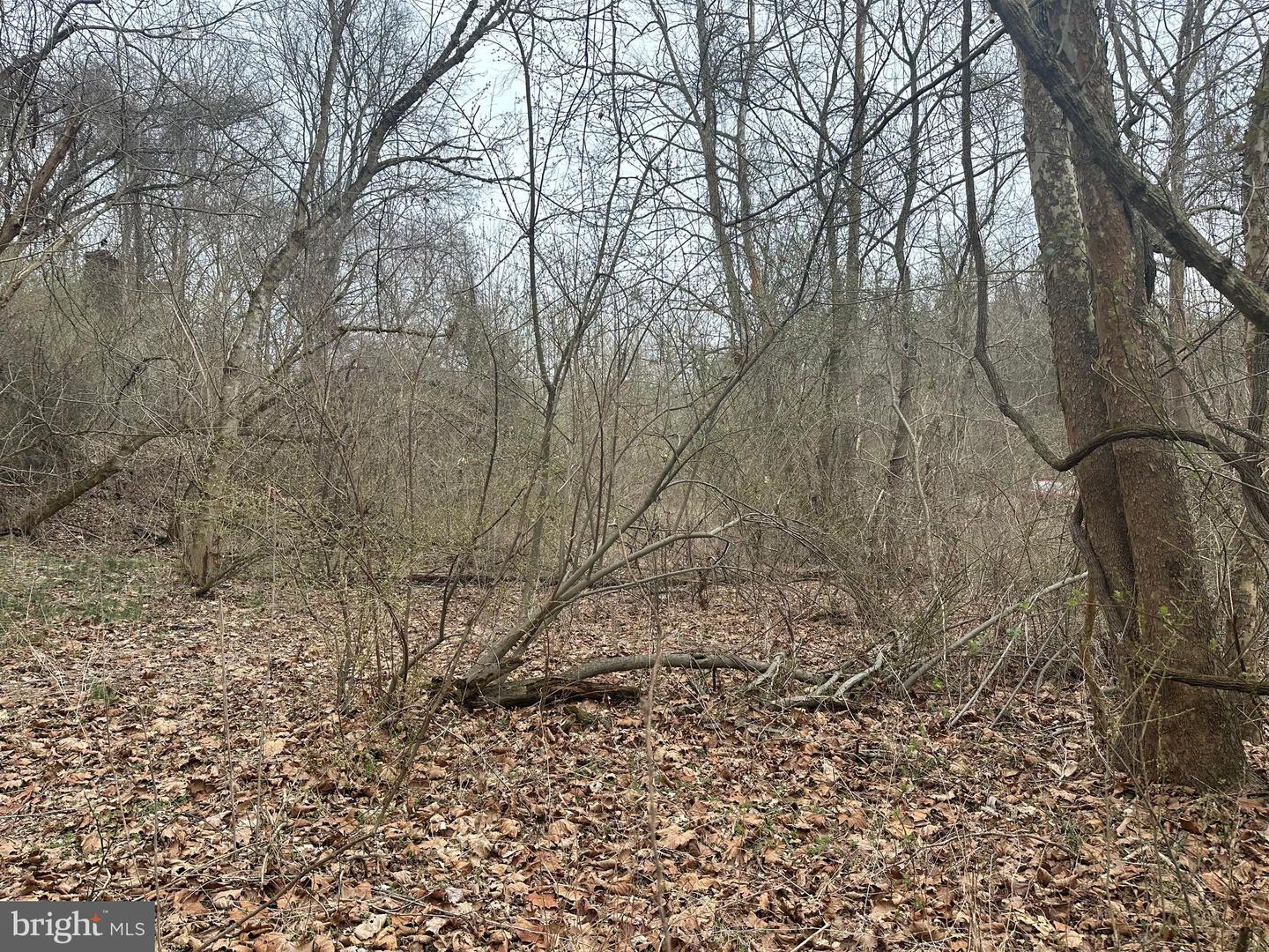 Lime Kiln Rd Property Photo 34