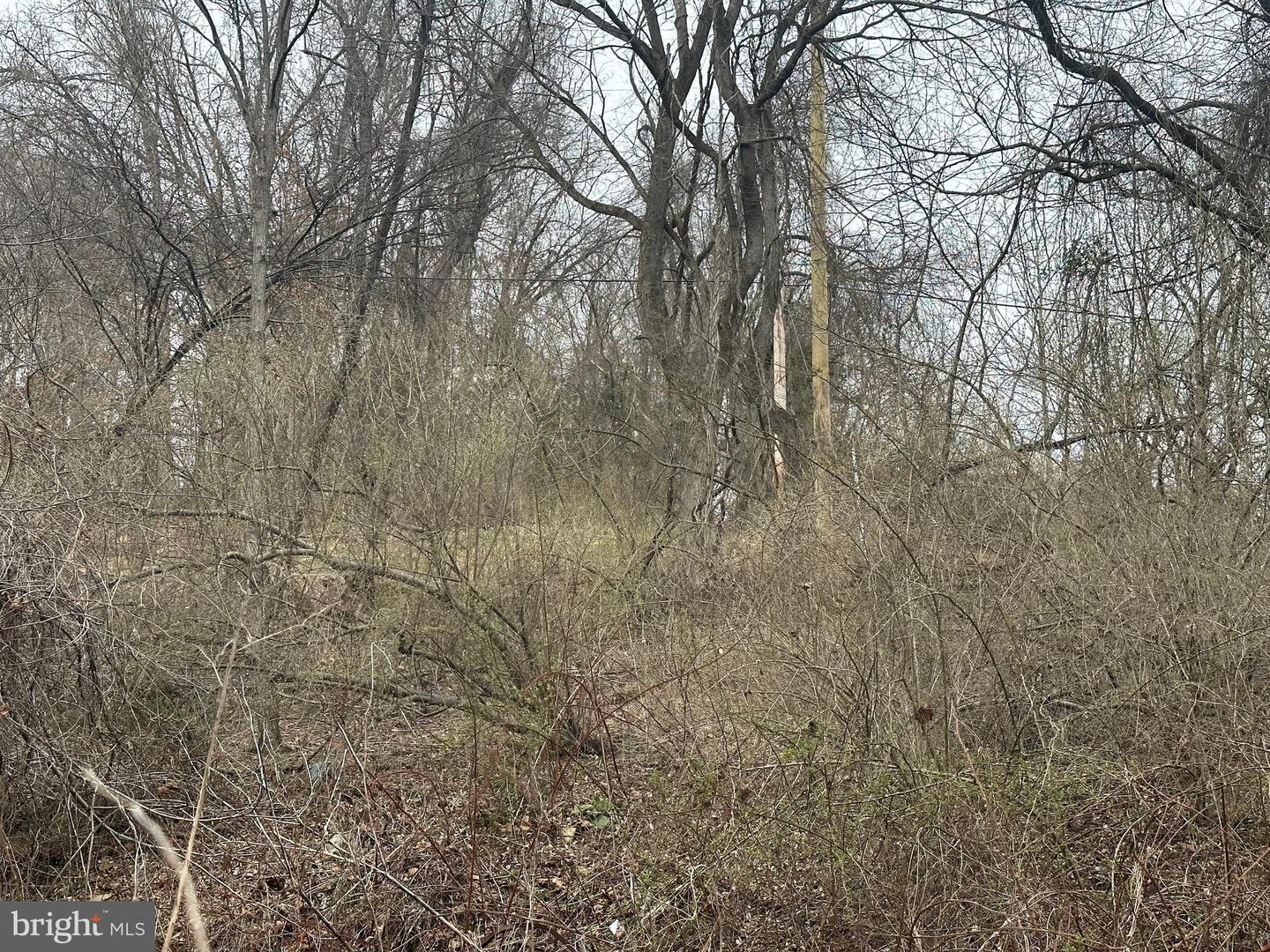 Lime Kiln Rd Property Photo 43
