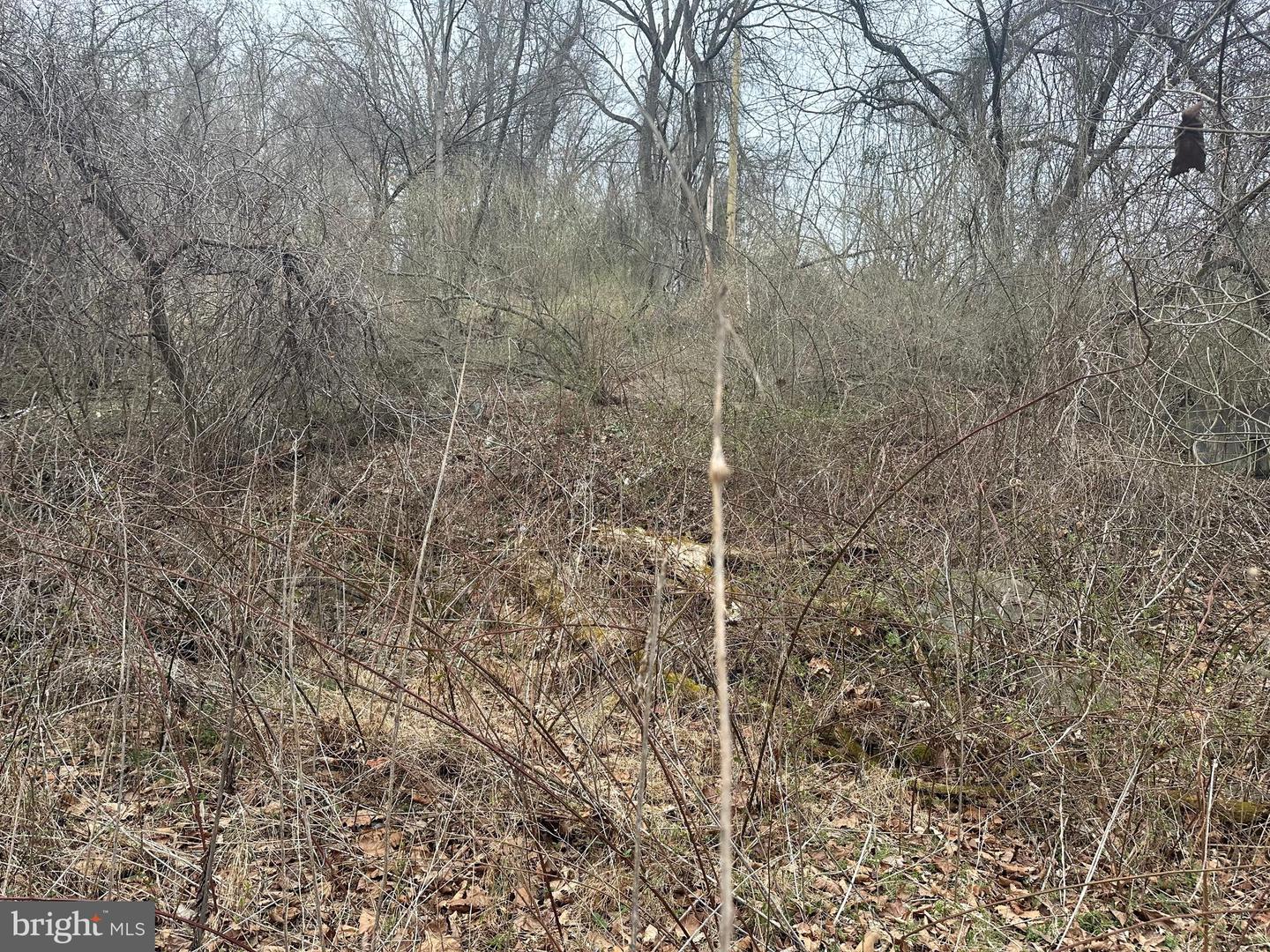 Lime Kiln Rd Property Photo 44